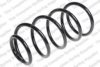 ROC CS7554 Coil Spring